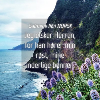 Picture 04 - Salmene 116:1 NORSK - Jeg elsker Herren, for han hører min røst, mine - Bible Verse Picture