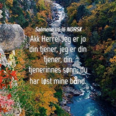 Picture 04 - Salmene 116:16 NORSK - Akk Herre! Jeg er jo din tjener, jeg er din - Bible Verse Picture