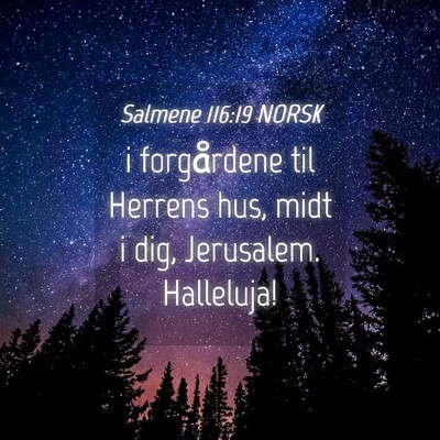 Picture 04 - Salmene 116:19 NORSK - i forgårdene til Herrens hus, midt i dig, - Bible Verse Picture