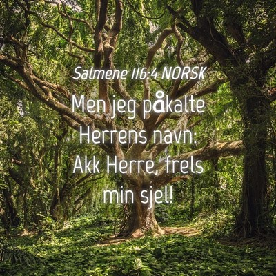 Picture 04 - Salmene 116:4 NORSK - Men jeg påkalte Herrens navn: Akk Herre, frels - Bible Verse Picture