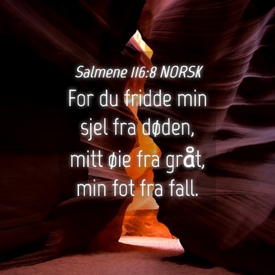 Picture 04 - Salmene 116:8 NORSK - For du fridde min sjel fra døden, mitt øie fra - Bible Verse Picture