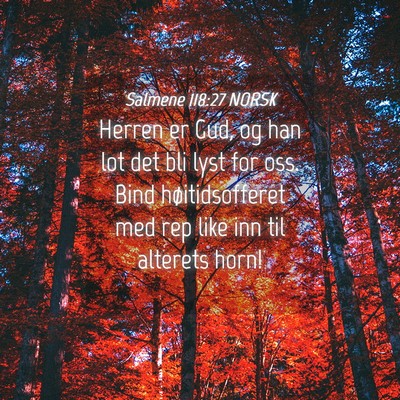 Picture 04 - Salmene 118:27 NORSK - Herren er Gud, og han lot det bli lyst for oss. - Bible Verse Picture