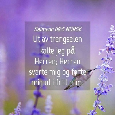 Picture 04 - Salmene 118:5 NORSK - Ut av trengselen kalte jeg på Herren; Herren - Bible Verse Picture