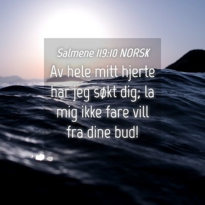 Picture 04 - Salmene 119:10 NORSK - Av hele mitt hjerte har jeg søkt dig; la mig - Bible Verse Picture