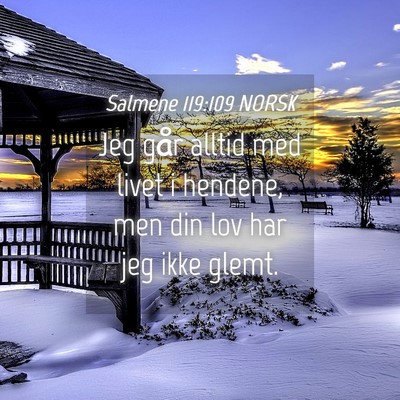 Picture 04 - Salmene 119:109 NORSK - Jeg går alltid med livet i hendene, men din lov - Bible Verse Picture