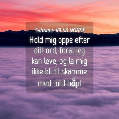 Picture 04 - Salmene 119:116 NORSK - Hold mig oppe efter ditt ord, forat jeg kan leve, - Bible Verse Picture