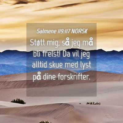 Picture 04 - Salmene 119:117 NORSK - Støtt mig, så jeg må bli frelst! Da vil jeg - Bible Verse Picture