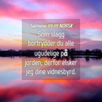 Picture 04 - Salmene 119:119 NORSK - Som slagg bortrydder du alle ugudelige på - Bible Verse Picture
