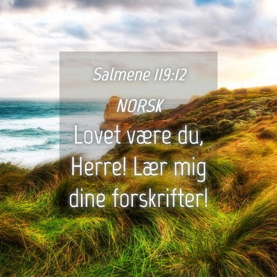 Picture 04 - Salmene 119:12 NORSK - Lovet være du, Herre! Lær mig dine - Bible Verse Picture