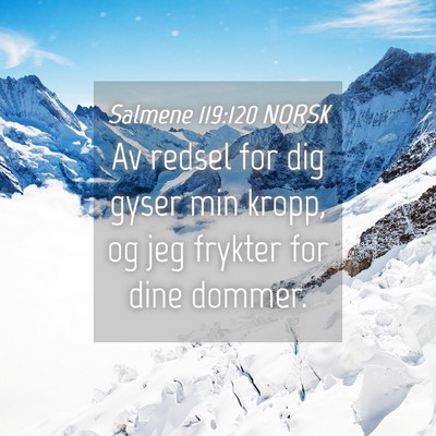 Picture 04 - Salmene 119:120 NORSK - Av redsel for dig gyser min kropp, og jeg frykter - Bible Verse Picture