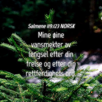 Picture 04 - Salmene 119:123 NORSK - Mine øine vansmekter av lengsel efter din frelse - Bible Verse Picture