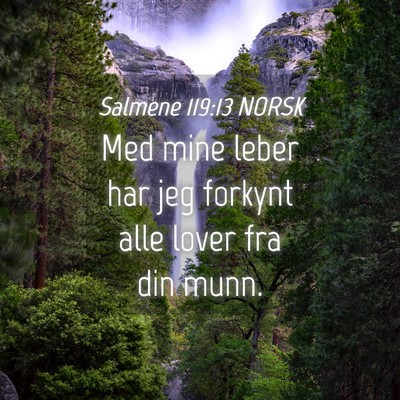 Picture 04 - Salmene 119:13 NORSK - Med mine leber har jeg forkynt alle lover fra din - Bible Verse Picture