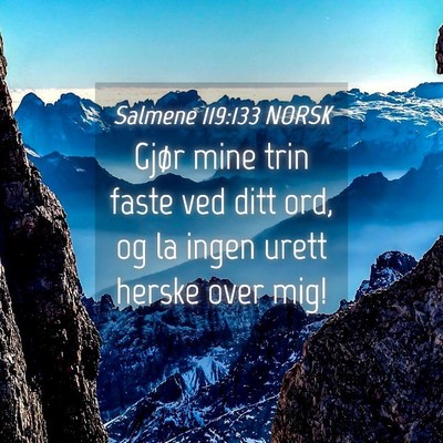 Picture 04 - Salmene 119:133 NORSK - Gjør mine trin faste ved ditt ord, og la ingen - Bible Verse Picture