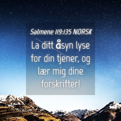 Picture 04 - Salmene 119:135 NORSK - La ditt åsyn lyse for din tjener, og lær mig - Bible Verse Picture