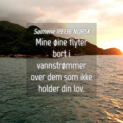 Picture 04 - Salmene 119:136 NORSK - Mine øine flyter bort i vannstrømmer over dem - Bible Verse Picture