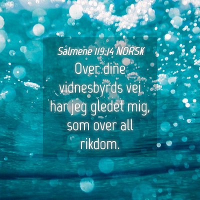 Picture 04 - Salmene 119:14 NORSK - Over dine vidnesbyrds vei har jeg gledet mig, som - Bible Verse Picture