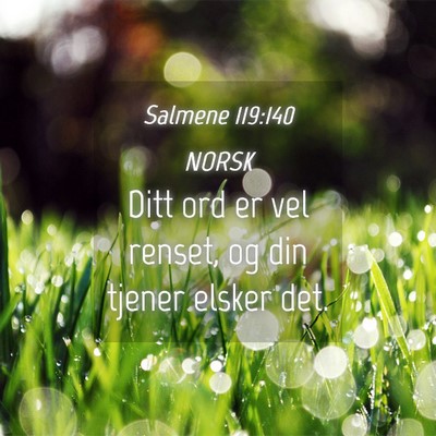 Picture 04 - Salmene 119:140 NORSK - Ditt ord er vel renset, og din tjener elsker - Bible Verse Picture
