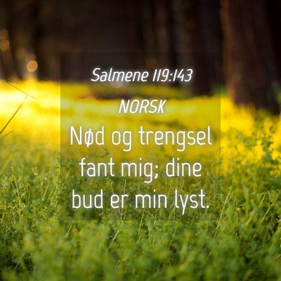 Picture 04 - Salmene 119:143 NORSK - Nød og trengsel fant mig; dine bud er min - Bible Verse Picture
