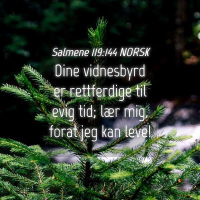 Picture 04 - Salmene 119:144 NORSK - Dine vidnesbyrd er rettferdige til evig tid; lær - Bible Verse Picture