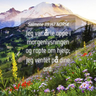Picture 04 - Salmene 119:147 NORSK - Jeg var årle oppe i morgenlysningen og ropte om - Bible Verse Picture