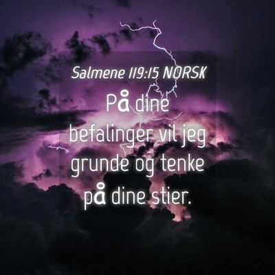 Picture 04 - Salmene 119:15 NORSK - På dine befalinger vil jeg grunde og tenke på - Bible Verse Picture