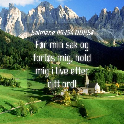 Picture 04 - Salmene 119:154 NORSK - Før min sak og forløs mig, hold mig i live - Bible Verse Picture