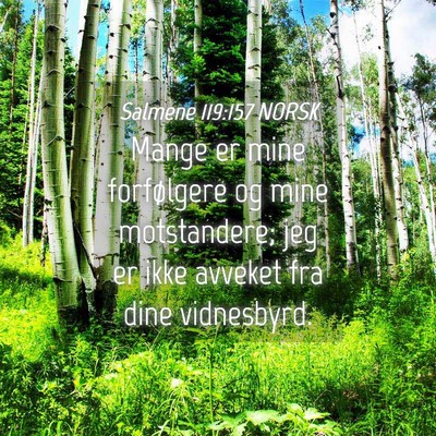 Picture 04 - Salmene 119:157 NORSK - Mange er mine forfølgere og mine motstandere; - Bible Verse Picture