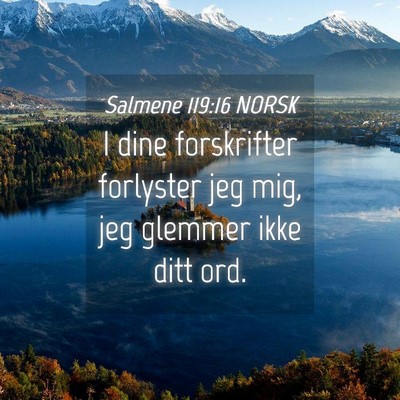 Picture 04 - Salmene 119:16 NORSK - I dine forskrifter forlyster jeg mig, jeg glemmer - Bible Verse Picture