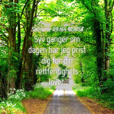 Picture 04 - Salmene 119:164 NORSK - Syv ganger om dagen har jeg prist dig for din - Bible Verse Picture