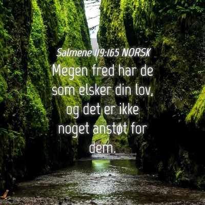 Picture 04 - Salmene 119:165 NORSK - Megen fred har de som elsker din lov, og det er - Bible Verse Picture
