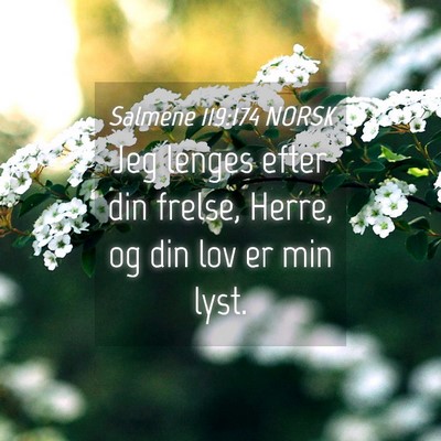 Picture 04 - Salmene 119:174 NORSK - Jeg lenges efter din frelse, Herre, og din lov er - Bible Verse Picture