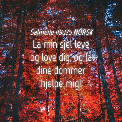 Picture 04 - Salmene 119:175 NORSK - La min sjel leve og love dig, og la dine dommer - Bible Verse Picture