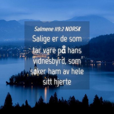 Picture 04 - Salmene 119:2 NORSK - Salige er de som tar vare på hans vidnesbyrd, - Bible Verse Picture