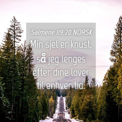 Picture 04 - Salmene 119:20 NORSK - Min sjel er knust, så jeg lenges efter dine - Bible Verse Picture