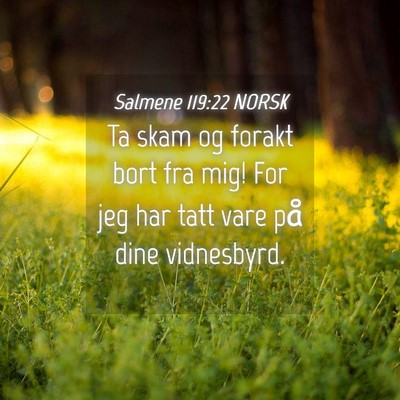 Picture 04 - Salmene 119:22 NORSK - Ta skam og forakt bort fra mig! For jeg har tatt - Bible Verse Picture
