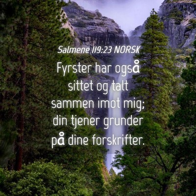 Picture 04 - Salmene 119:23 NORSK - Fyrster har også sittet og talt sammen imot mig; - Bible Verse Picture