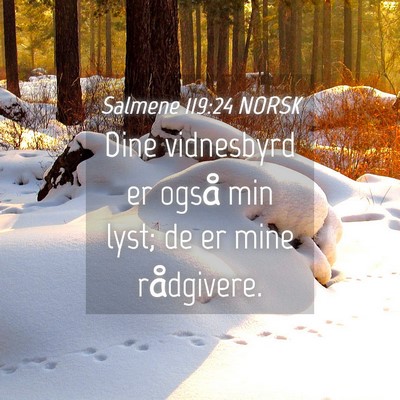 Picture 04 - Salmene 119:24 NORSK - Dine vidnesbyrd er også min lyst; de er mine - Bible Verse Picture