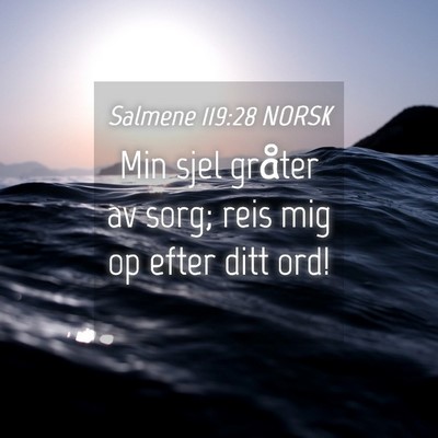 Picture 04 - Salmene 119:28 NORSK - Min sjel gråter av sorg; reis mig op efter ditt - Bible Verse Picture