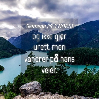 Picture 04 - Salmene 119:3 NORSK - og ikke gjør urett, men vandrer på hans - Bible Verse Picture