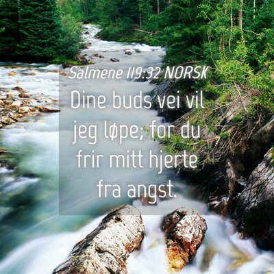 Picture 04 - Salmene 119:32 NORSK - Dine buds vei vil jeg løpe; for du frir mitt - Bible Verse Picture