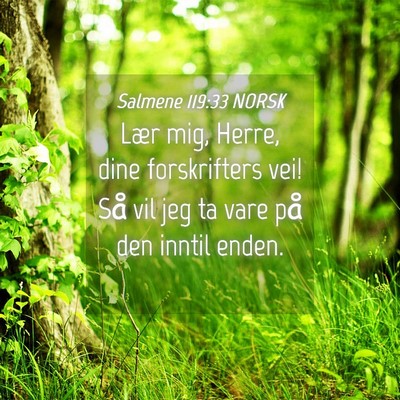 Picture 04 - Salmene 119:33 NORSK - Lær mig, Herre, dine forskrifters vei! Så vil - Bible Verse Picture