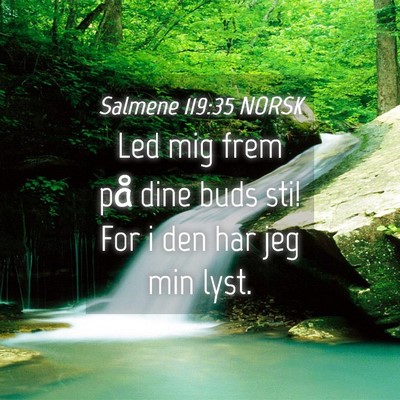 Picture 04 - Salmene 119:35 NORSK - Led mig frem på dine buds sti! For i den har jeg - Bible Verse Picture
