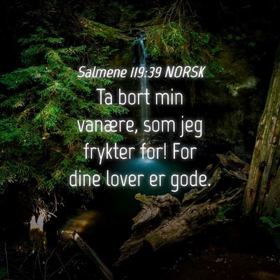 Picture 04 - Salmene 119:39 NORSK - Ta bort min vanære, som jeg frykter for! For - Bible Verse Picture