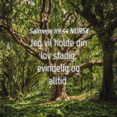 Picture 04 - Salmene 119:44 NORSK - Jeg vil holde din lov stadig, evindelig og - Bible Verse Picture
