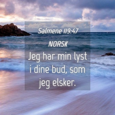 Picture 04 - Salmene 119:47 NORSK - Jeg har min lyst i dine bud, som jeg - Bible Verse Picture