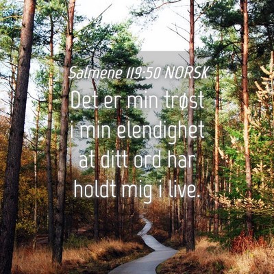 Picture 04 - Salmene 119:50 NORSK - Det er min trøst i min elendighet at ditt ord - Bible Verse Picture