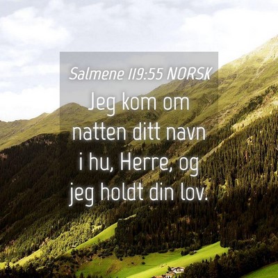 Picture 04 - Salmene 119:55 NORSK - Jeg kom om natten ditt navn i hu, Herre, og jeg - Bible Verse Picture