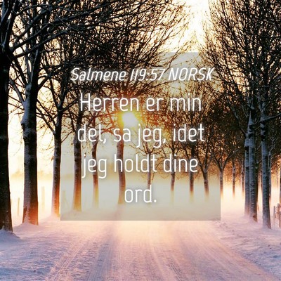 Picture 04 - Salmene 119:57 NORSK - Herren er min del, sa jeg, idet jeg holdt dine - Bible Verse Picture