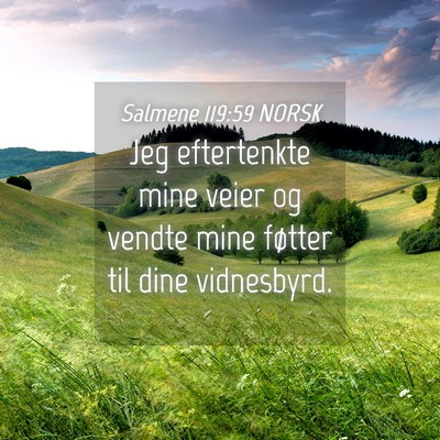 Picture 04 - Salmene 119:59 NORSK - Jeg eftertenkte mine veier og vendte mine føtter - Bible Verse Picture