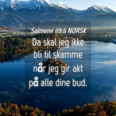 Picture 04 - Salmene 119:6 NORSK - Da skal jeg ikke bli til skamme når jeg gir akt - Bible Verse Picture